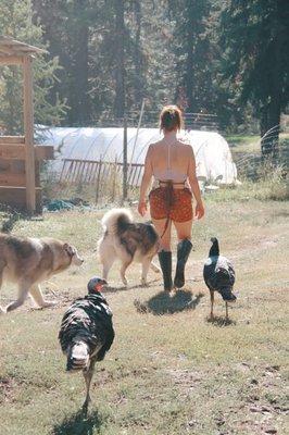 North Palouse Veterinary Clinic