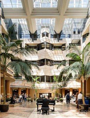 Eden Global Impact Group