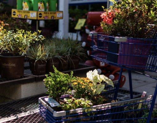 Lowe's Home Improvement