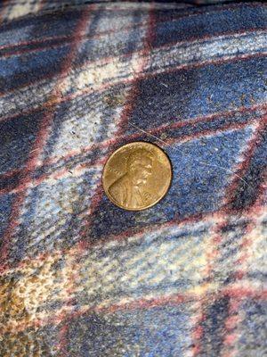 American Rarities Rare Coin Company - PA