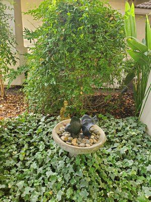 Love Dr. Brown, he provides me tranquility...