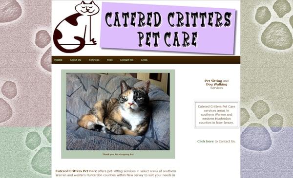 The Website Approach