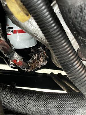 Victory Lane Quick Oil Change