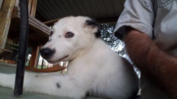 Tri-County Veterinary Clinic