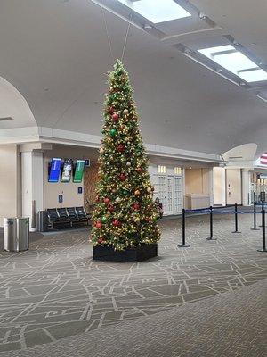 Delta's Xmas tree by checkin Savannah HHI Airport Saturday Dec12, 2020