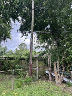 Jose Lozano Tree Services