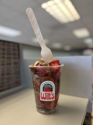 Chocolate Covered Strawberries