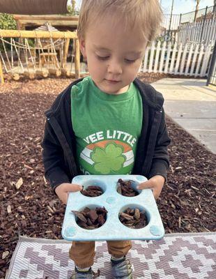 Wild Roots Holistic Learning