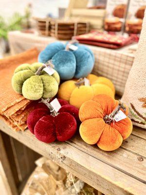 Cute velvet pumpkins to have throughout fall. Great for your Thanksgiving table.
