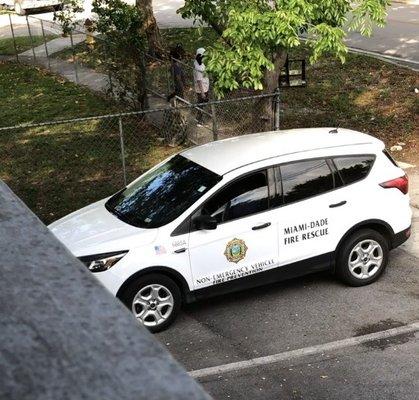 Miami dade at its best. She couldn't even care to park properly and called her superior to inform her that I had photographed her.