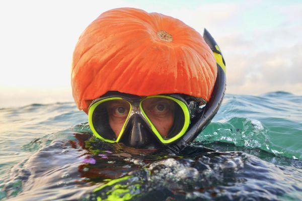 Go to the Ocean instead of dealing with these losers!!!