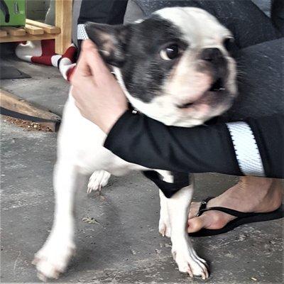 Tri-Valley Carpet Care