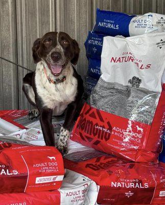 Pine Hill Farm Supply