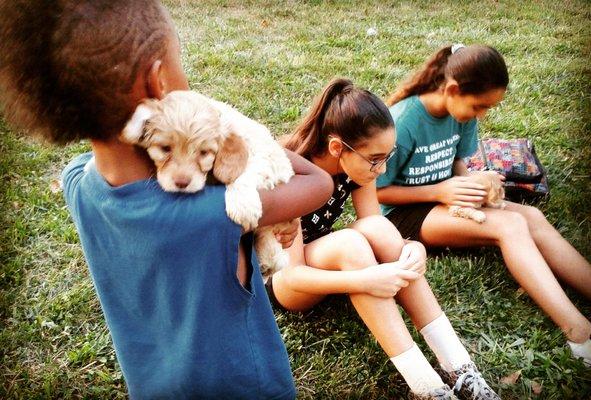 Pet Care By Nicholas