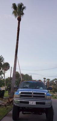 The Trusted Traveling Tree Trimmers