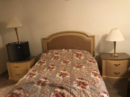 King Bed and fridge