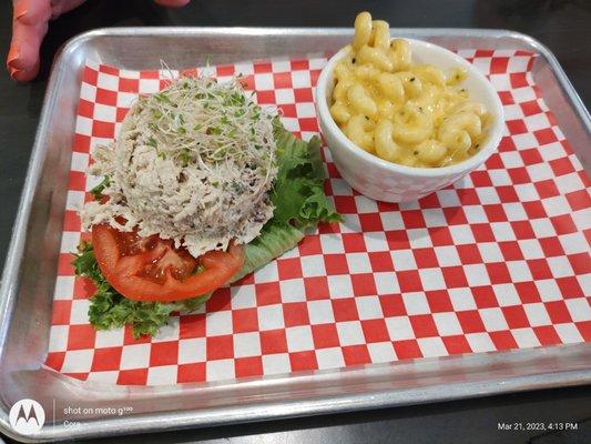 Check clean salad and Mac and cheese