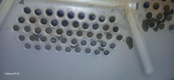 The empty holes were filled to the brim until i cleared them out