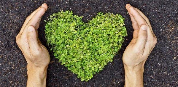 CB Property Maintenance