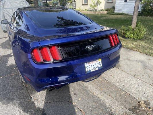 He also painted the part of the trunk that was starting to fade, looks new again.