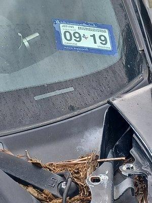 Bridge City Automotive