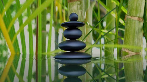 Main Street Chiropractic