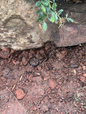 Andy's Sprinkler Drainage & Lighting