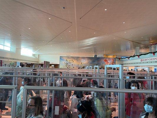The plexiglass barriers really make you feel like cattle ready for slaughter.