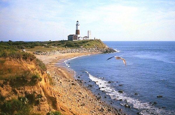 Barbee Bryan's Pet Salon