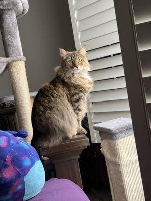 Both Dr Zoo & Dr Nicoletti care for our Namira