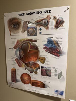 Joslin Eye Center PC