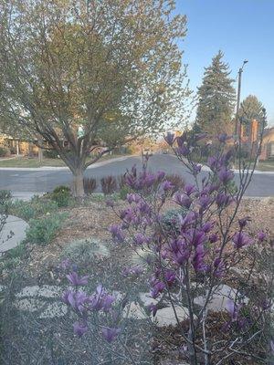 Reflect Window Cleaning