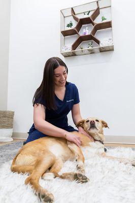 Walking Paws Rehab