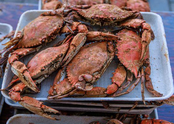 Chesapeake Crab Connection