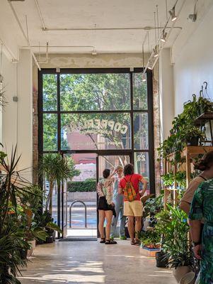 Copperline Plant Company