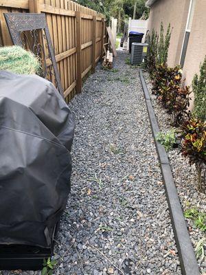 Two Tigers And A Truck