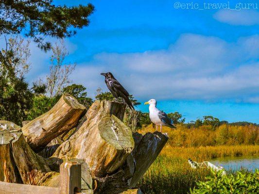 "Love doesn't mean gazing at each other, but looking, together, in the same direction." - Antoine de Saint-Exupéry