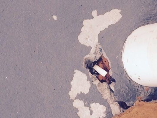 Picture by wall upstairs cigarette and dog food in hole in cement !!!