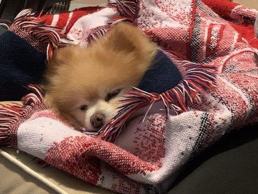 Chilly night ... 2019