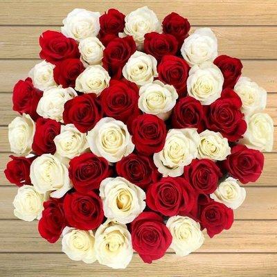 Rose Rentals Columbus