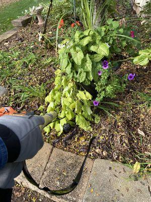 Nick-B-Hauling Home and Lawn