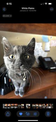 Dakota Veterinary Center