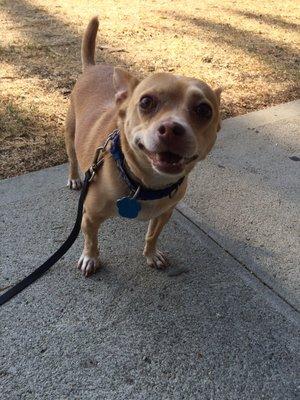 Happy Heart Pet Care