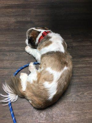 Eagle Creek Animal Clinic