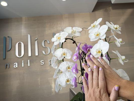 Polish Nail Spa