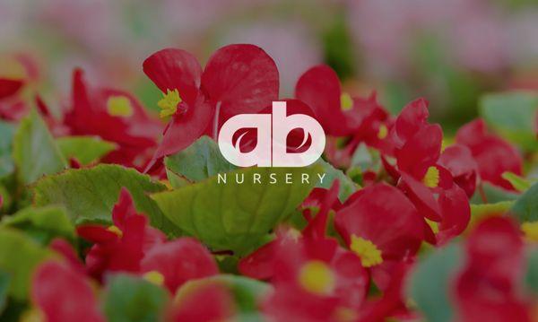 A B Nursery
