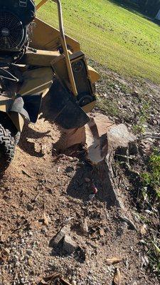 Pointe Coupee Tree Service