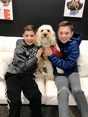 Rub a Dub Dub Dog Grooming