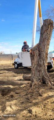 Gunner Scott Tree Trimming & Removal Licensed & Insured