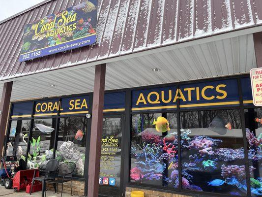 Coral Sea Aquatics